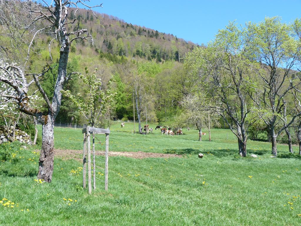 Clic pour l'image suivante