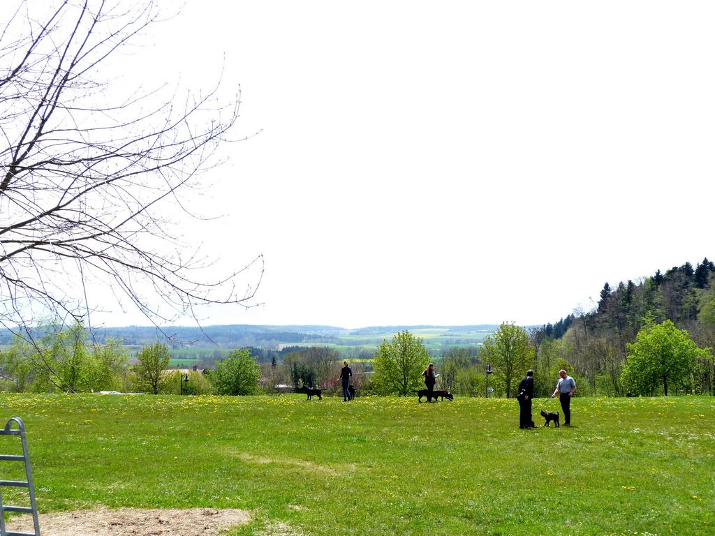 Clic pour l'image suivante