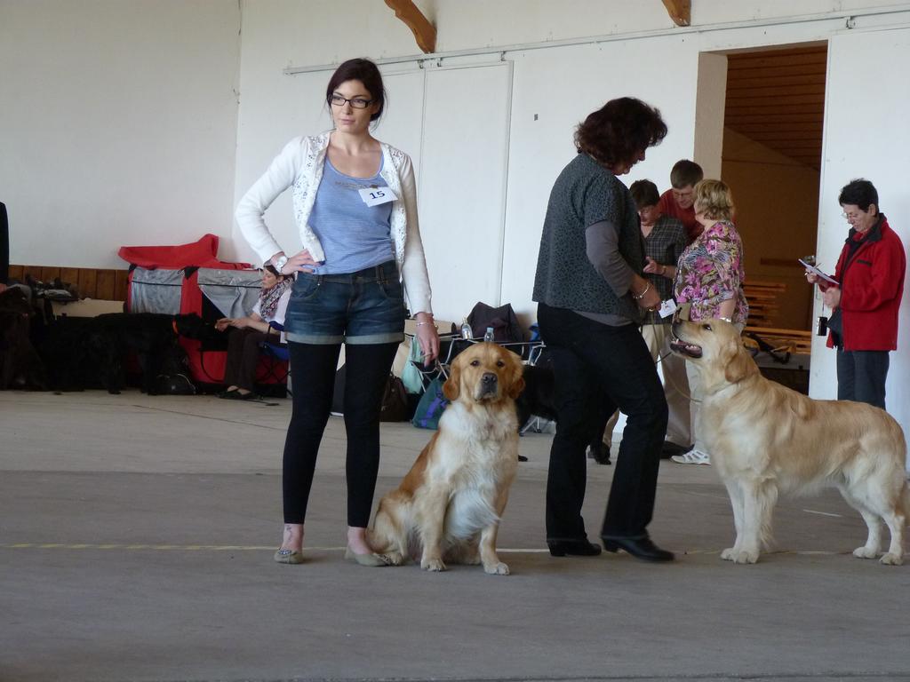 Clic pour l'image suivante