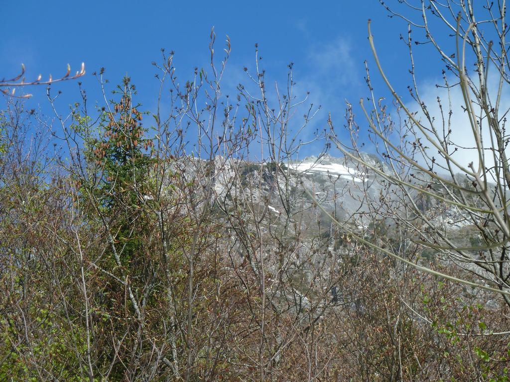 Clic pour l'image suivante