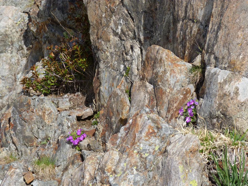 Clic pour l'image suivante