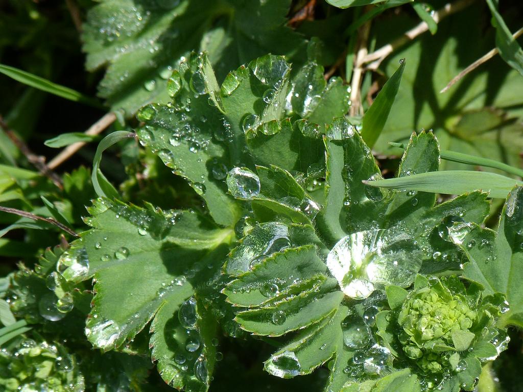 Click to see next picture