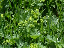 Click to see big picture (1024x768 pixels; 164 KB)