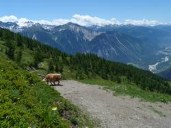 Click to see big picture (1024x768 pixels; 152 KB)