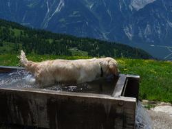 Click to see big picture (1024x768 pixels; 117 KB)