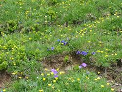 Click to see big picture (1024x768 pixels; 268 KB)