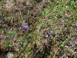 Click to see big picture (1024x768 pixels; 292 KB)