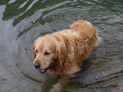 Click to see big picture (1024x768 pixels; 130 KB)