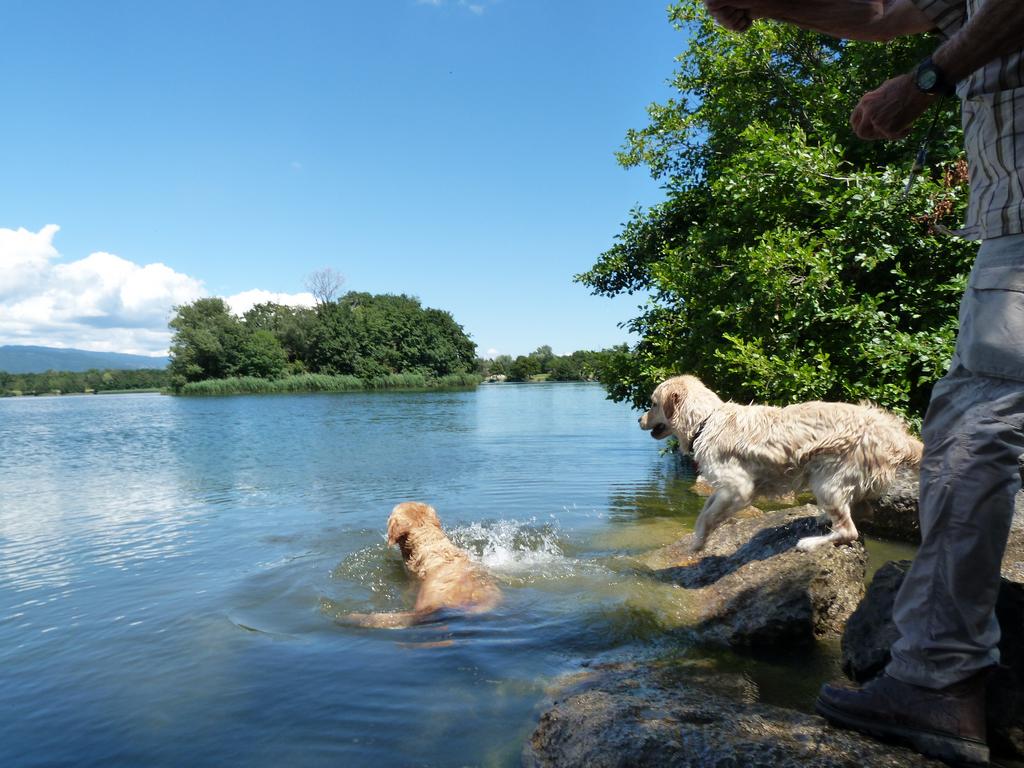 Clic pour l'image suivante