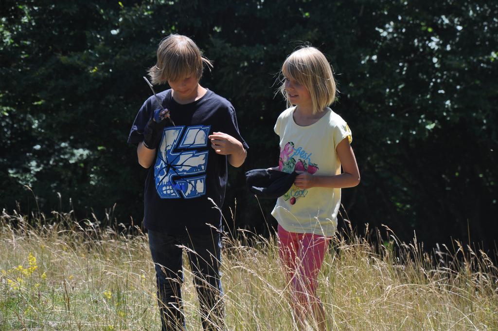 Clic pour l'image suivante