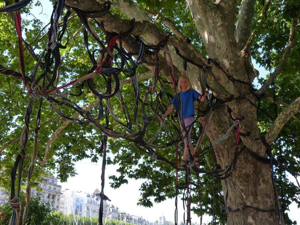 Clic pour l'image suivante