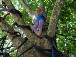 Clic pour agrandir l'image (1024x768 pixels; 188 KB)