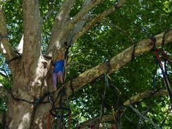 Clic pour agrandir l'image (1024x768 pixels; 203 KB)