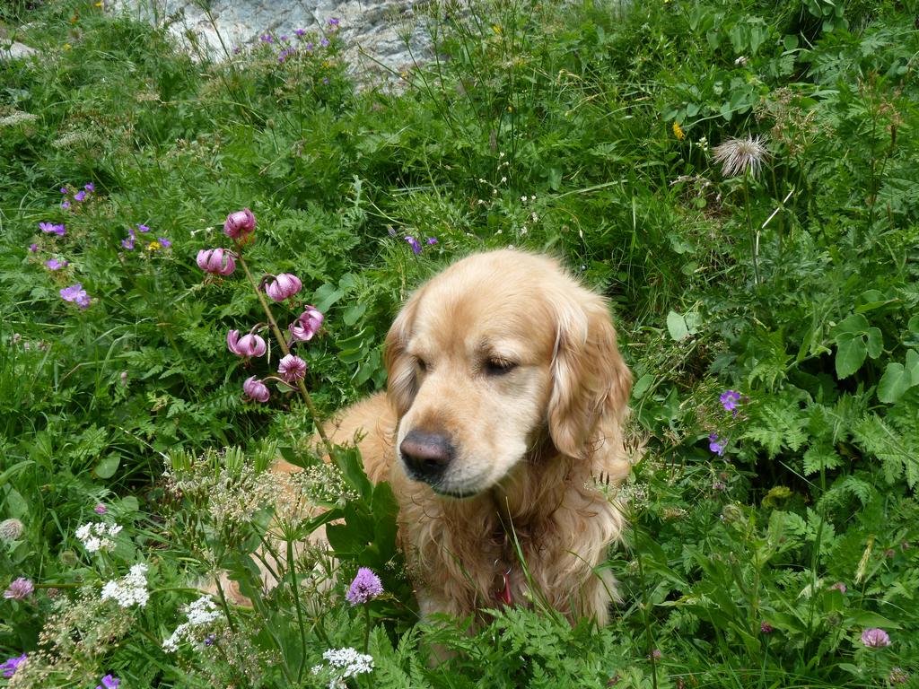 Clic pour l'image suivante