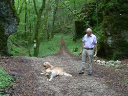 Clic pour agrandir l'image (1024x768 pixels; 212 KB)