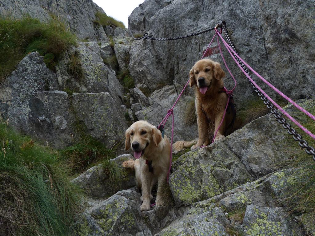 Clic pour l'image suivante