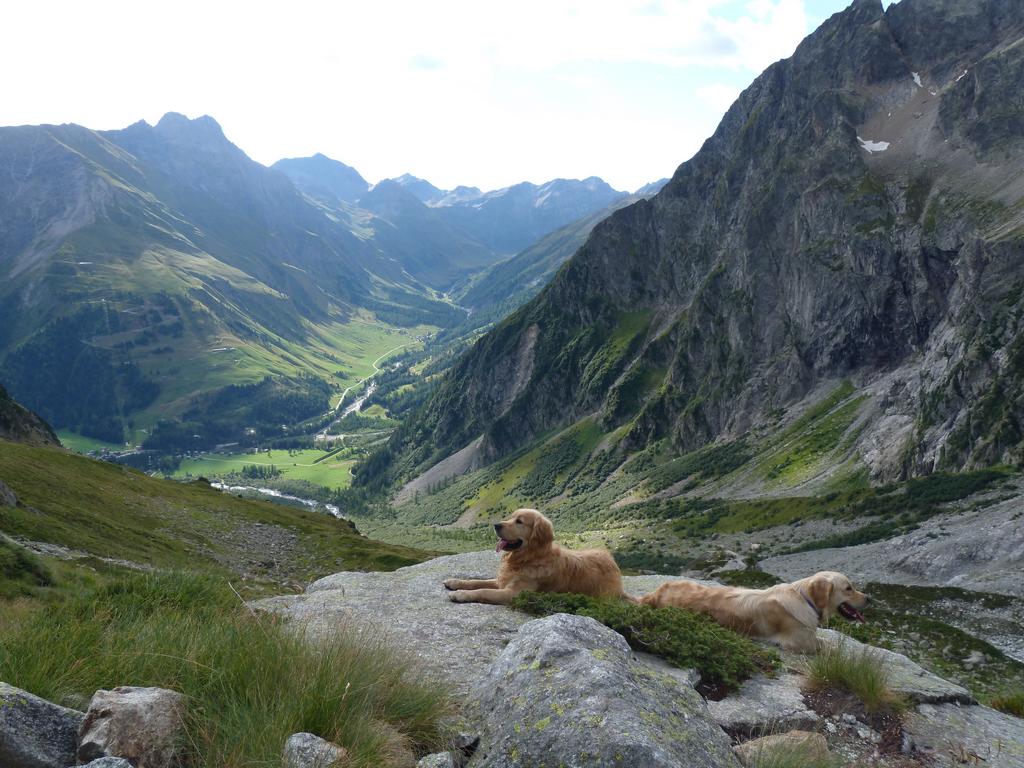 Clic pour l'image suivante