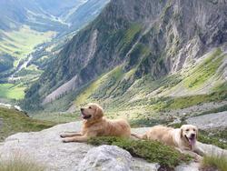 Clic pour agrandir l'image (1024x768 pixels; 195 KB)