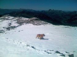 Clic pour agrandir l'image (1024x768 pixels; 99 KB)