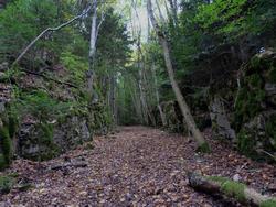 Clic pour agrandir l'image (1024x768 pixels; 205 KB)