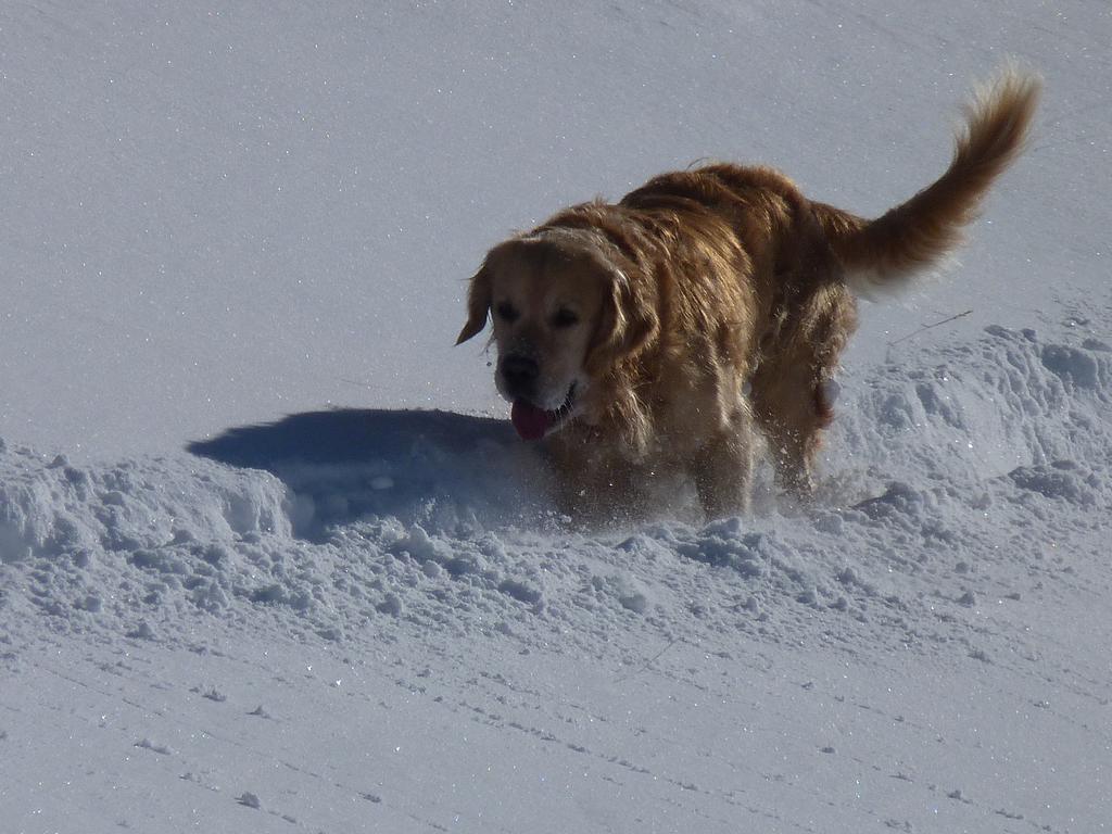 Clic pour l'image suivante