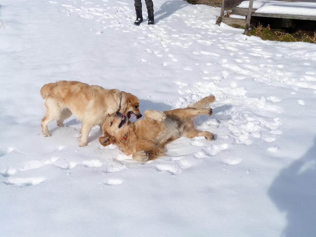 Clic pour l'image suivante