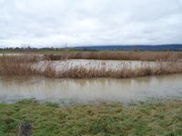 Clic pour agrandir l'image (1024x768 pixels; 113 KB)