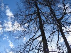 Clic pour agrandir l'image (1024x768 pixels; 249 KB)