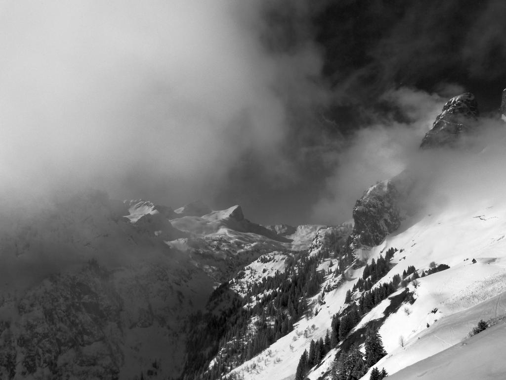 Clic pour l'image suivante