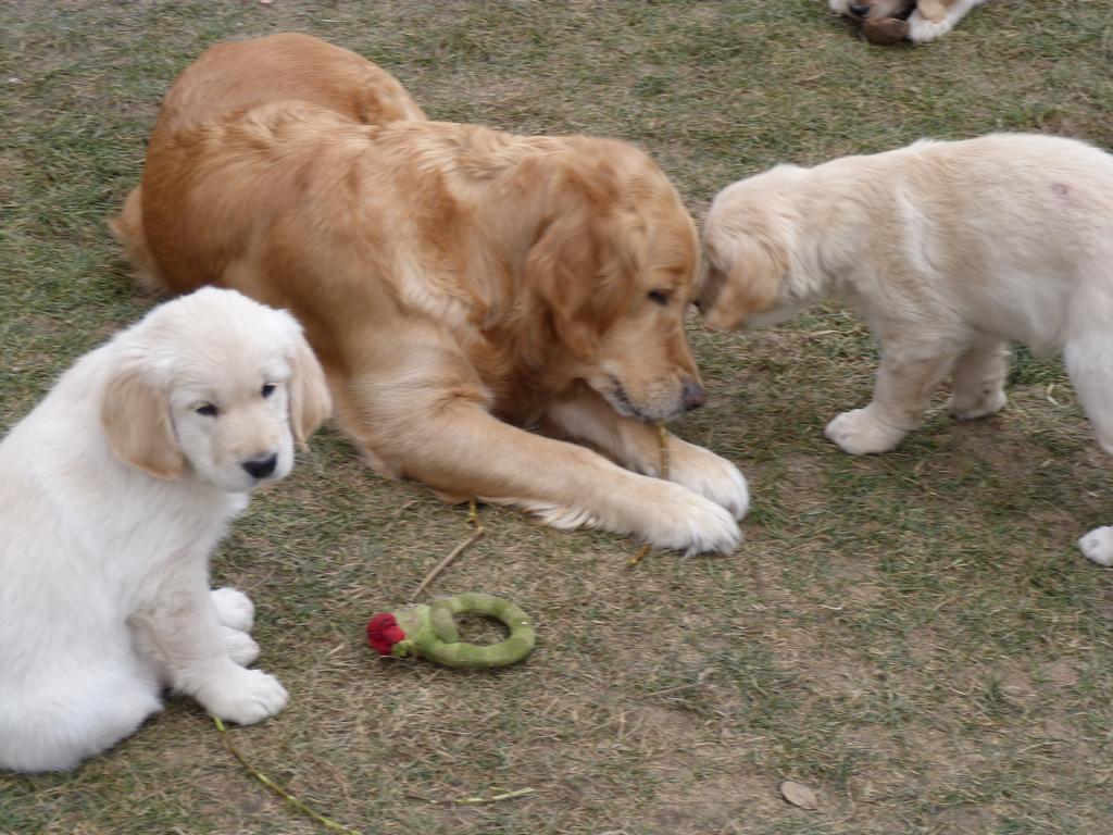 Clic pour l'image suivante