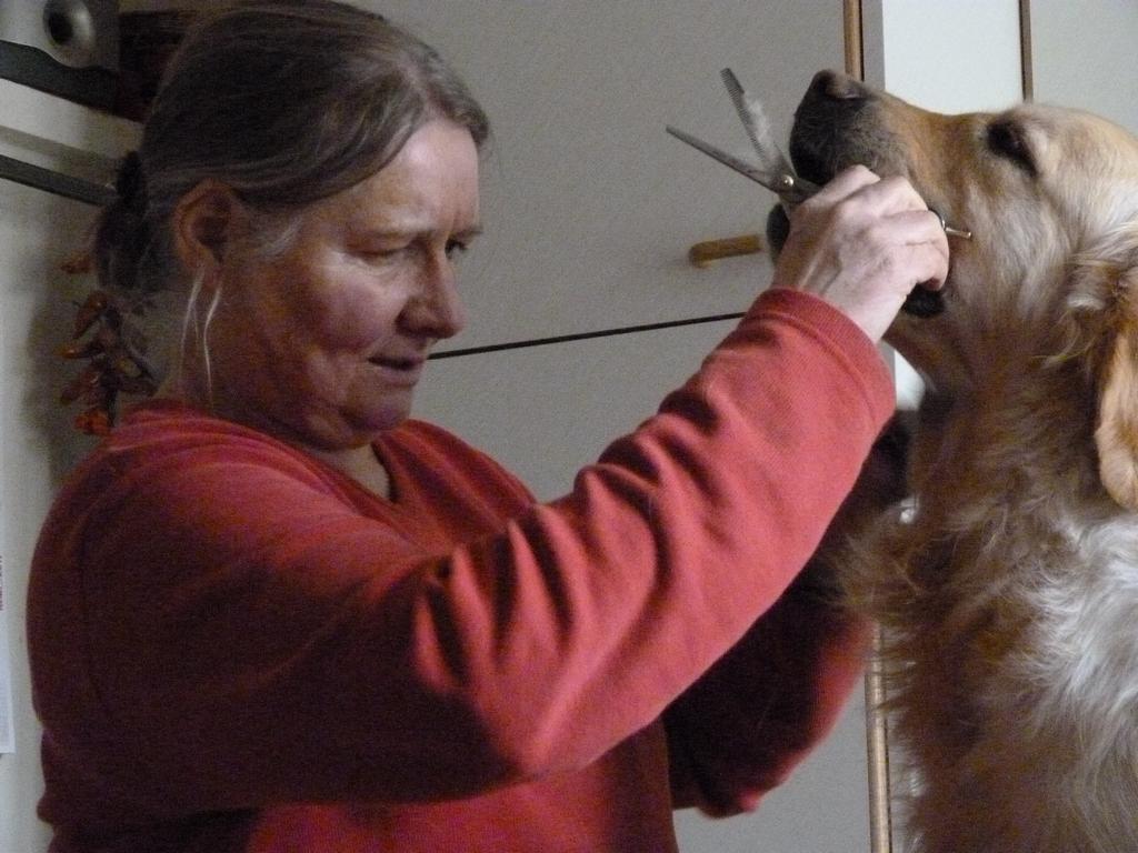 Clic pour l'image suivante