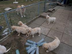 Clic pour agrandir l'image (1024x768 pixels; 144 KB)