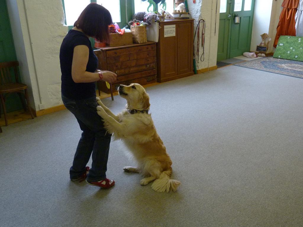 Clic pour l'image suivante