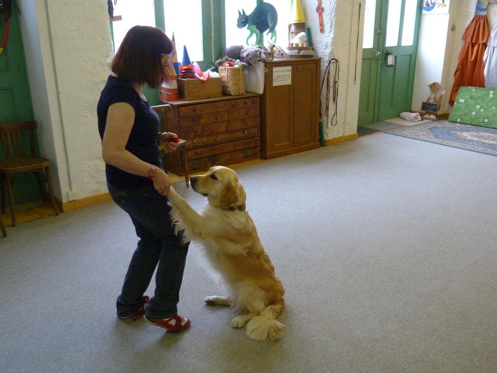 Clic pour l'image suivante