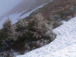 Clic pour agrandir l'image (1024x768 pixels; 134 KB)