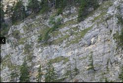 Clic pour agrandir l'image (1024x692 pixels; 149 KB)