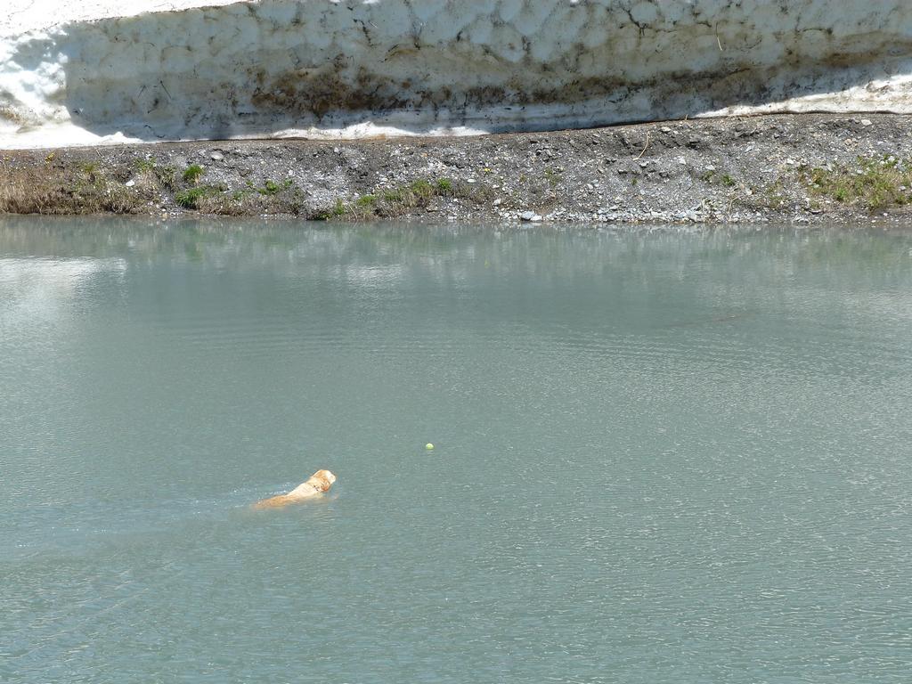 Clic pour l'image suivante