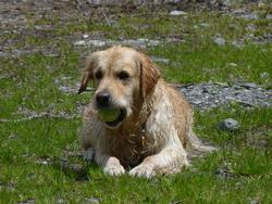 Clic pour agrandir l'image (1024x768 pixels; 155 KB)