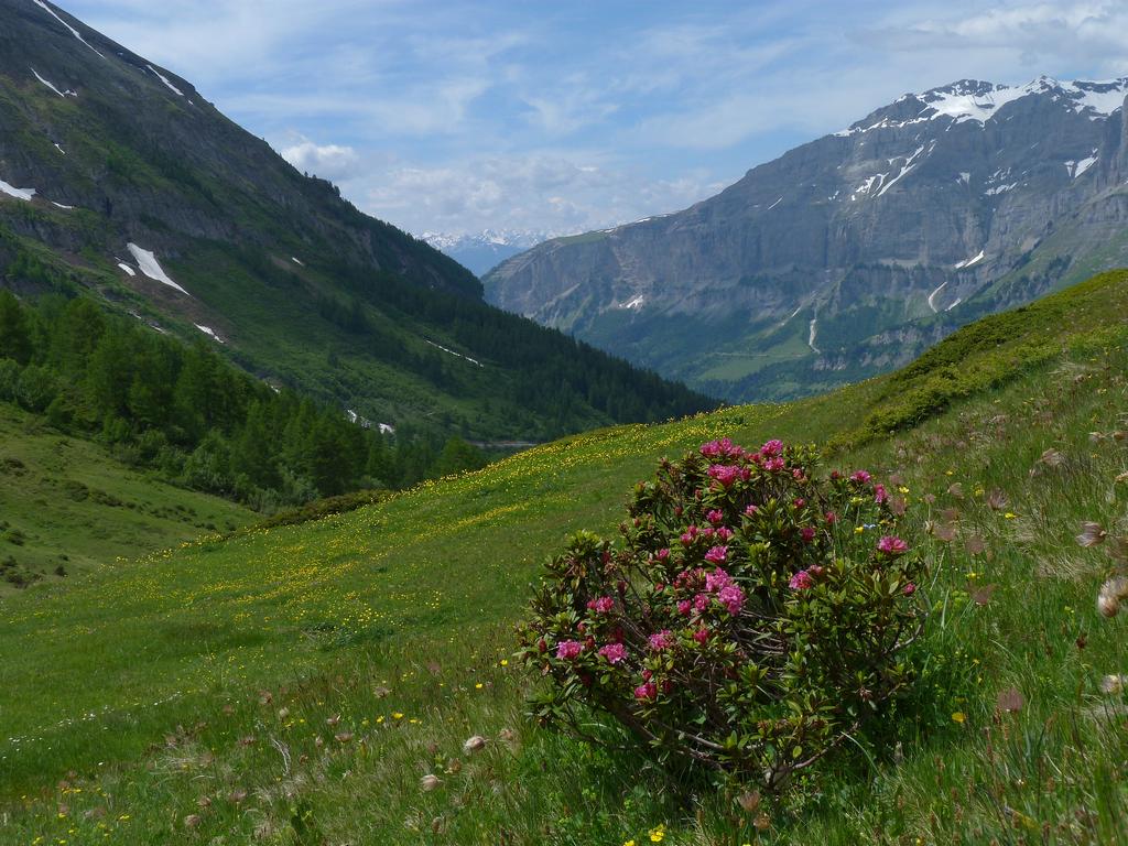 Clic pour l'image suivante