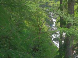 Clic pour agrandir l'image (1024x768 pixels; 166 KB)