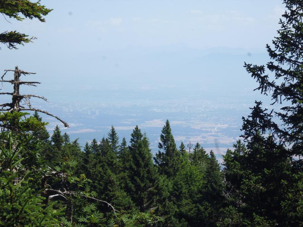 Clic pour l'image suivante