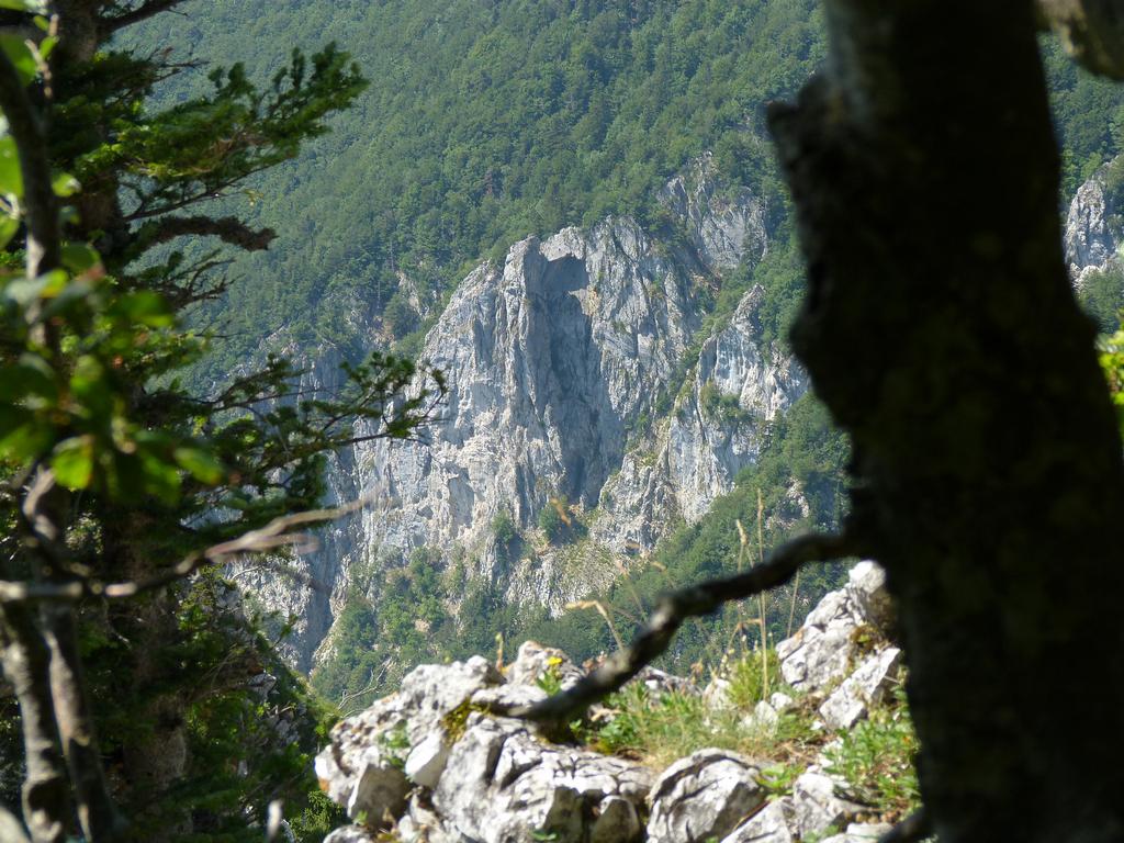 Clic pour l'image suivante