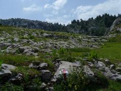 Clic pour agrandir l'image (1024x768 pixels; 166 KB)