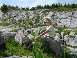 Clic pour agrandir l'image (1024x768 pixels; 215 KB)