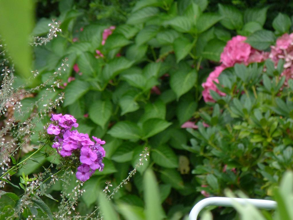 Clic pour l'image suivante