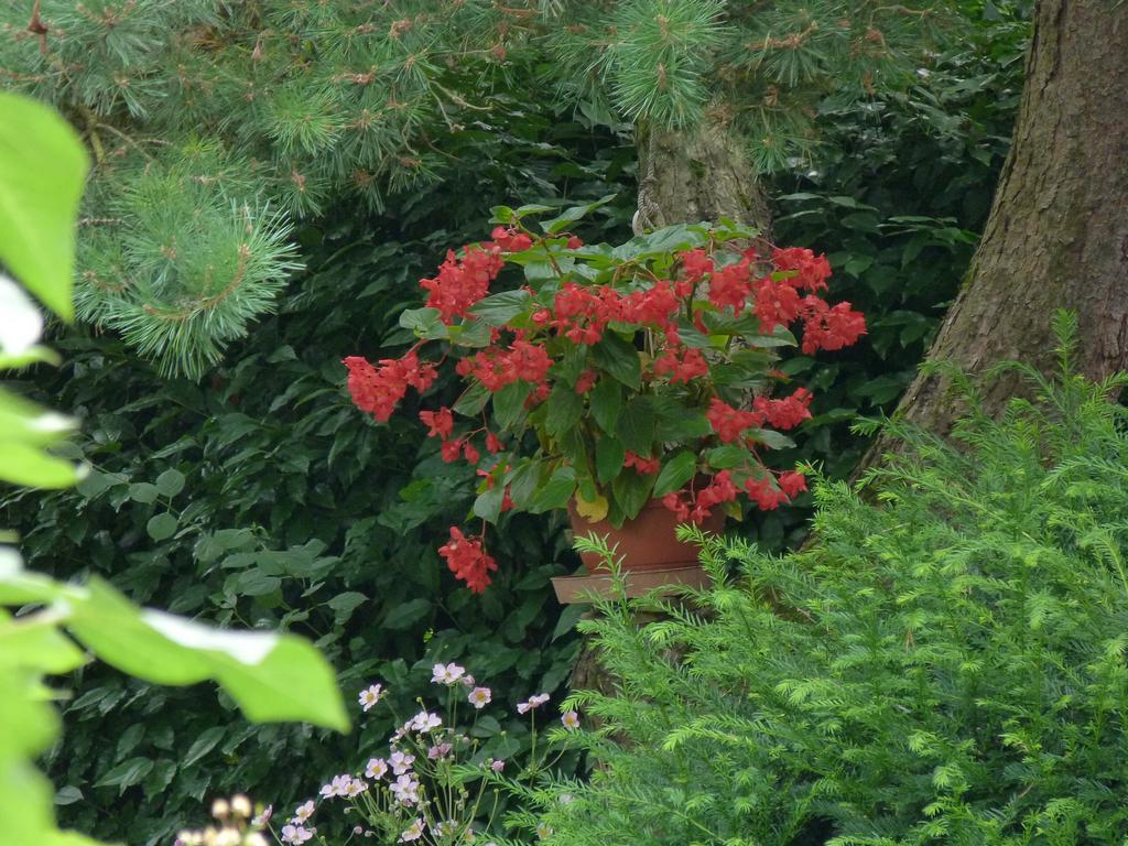 Clic pour l'image suivante