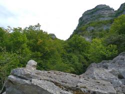 Clic pour agrandir l'image (1024x768 pixels; 155 KB)