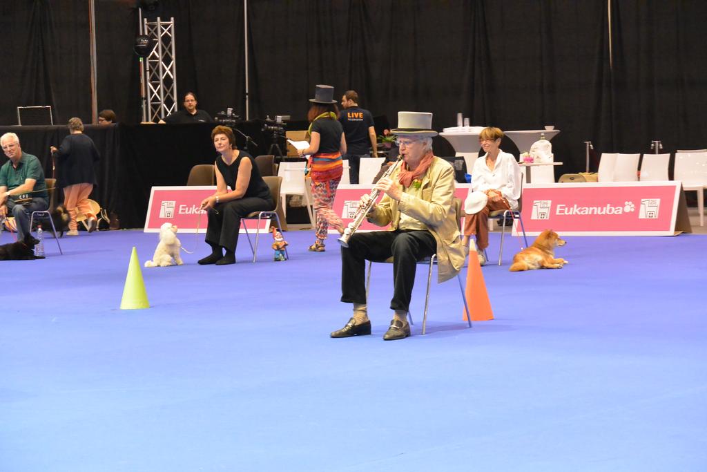 Clic pour l'image suivante