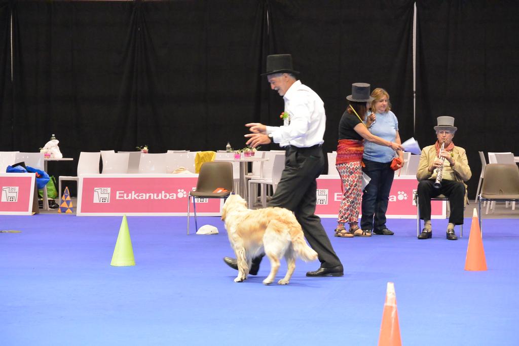 Clic pour l'image suivante