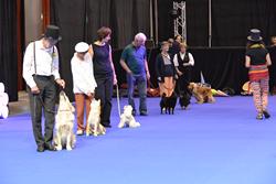 Clic pour agrandir l'image (1024x683 pixels; 85 KB)